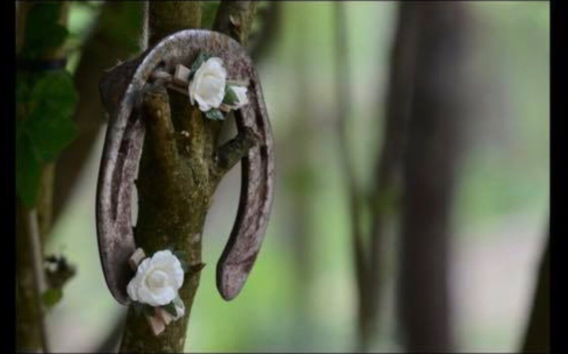 Photo of Others in Chandelles