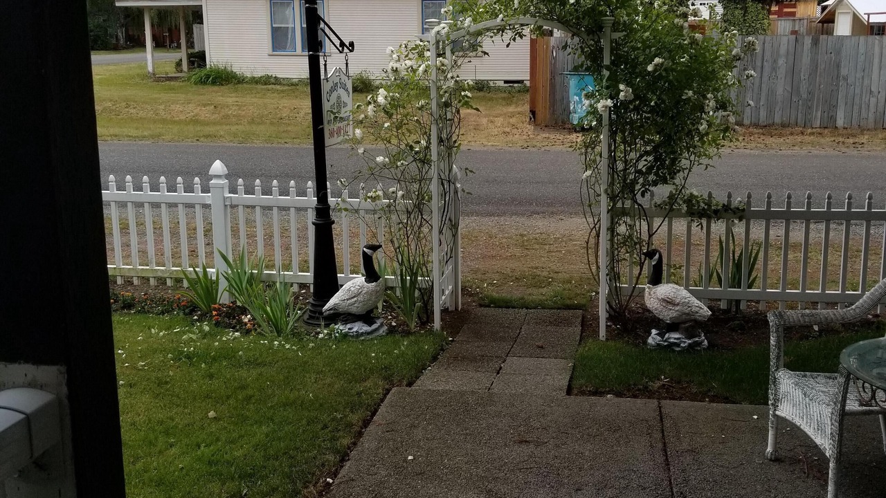 Photo of Outdoor in Yelm