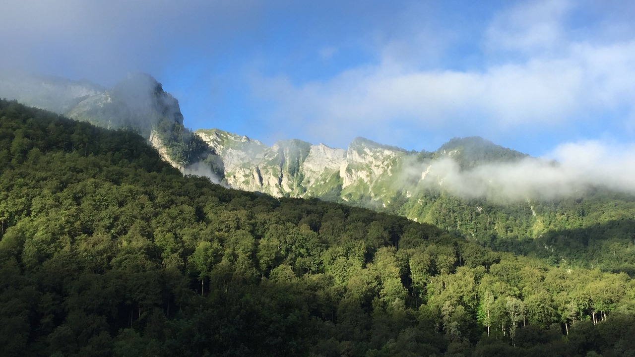 Photo of Others in Eaux-Bonnes