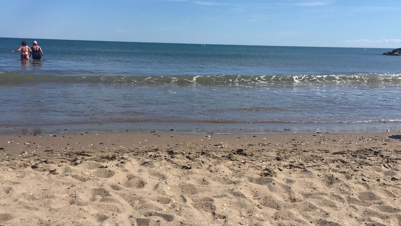 Photo of Others in Vias