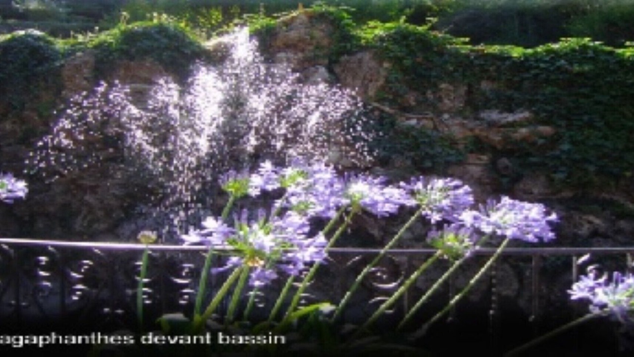 Photo of Outdoor in Bez-et-Esparon