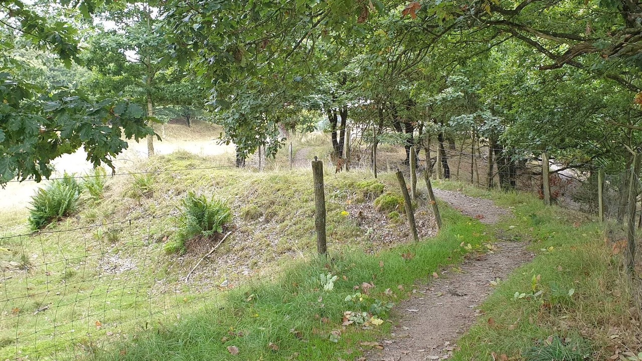 Photo of Outdoor in Silkeborg