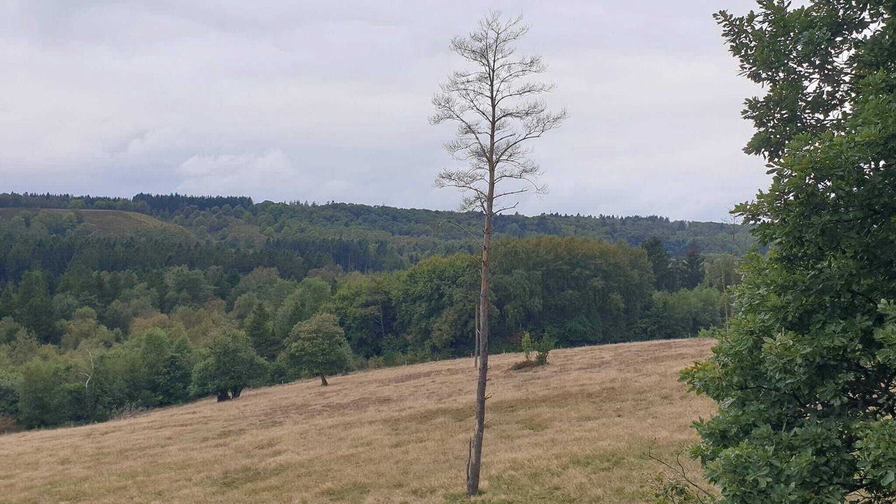 Photo of Others in Silkeborg