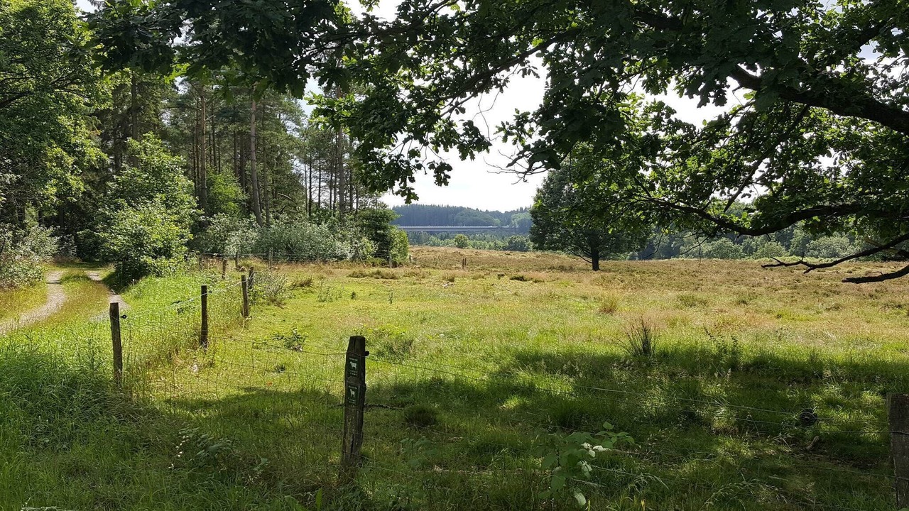 Photo of Others in Silkeborg