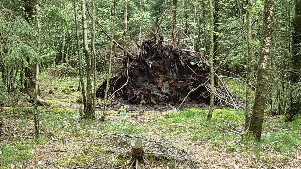 Photo of Others in Silkeborg