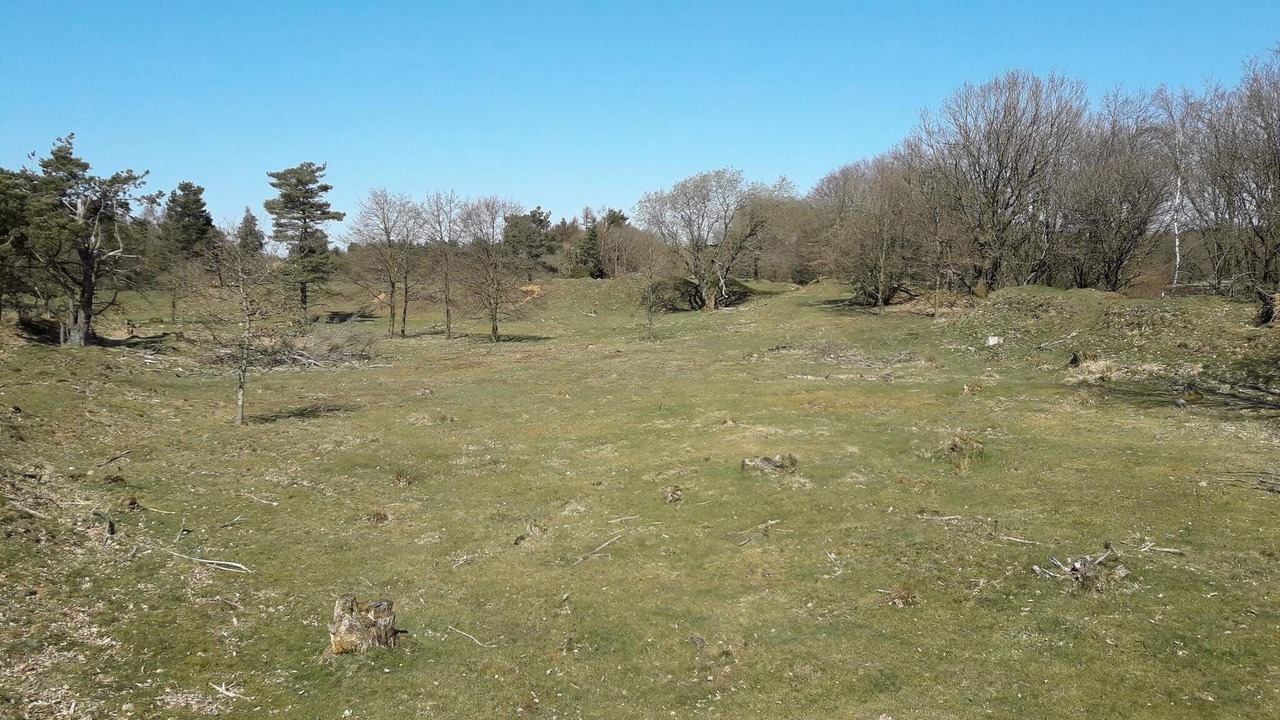Photo of Others in Silkeborg