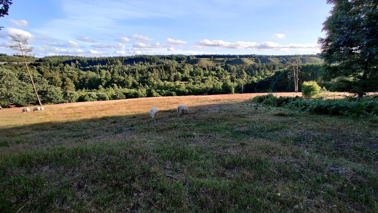 Photo of Others in Silkeborg