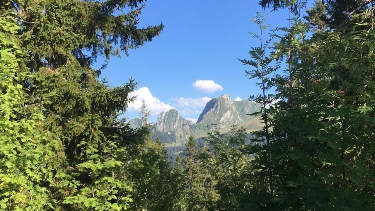 Photo of Others in Guggisberg