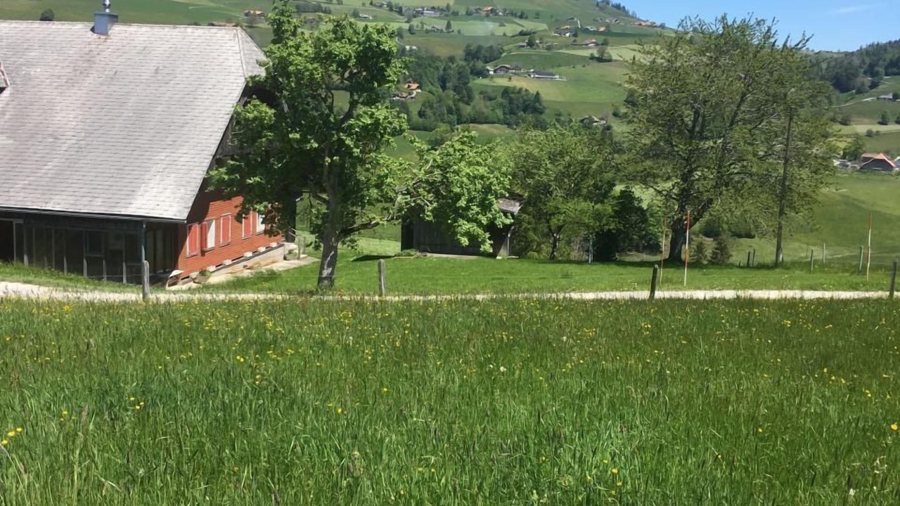 Photo of Others in Guggisberg