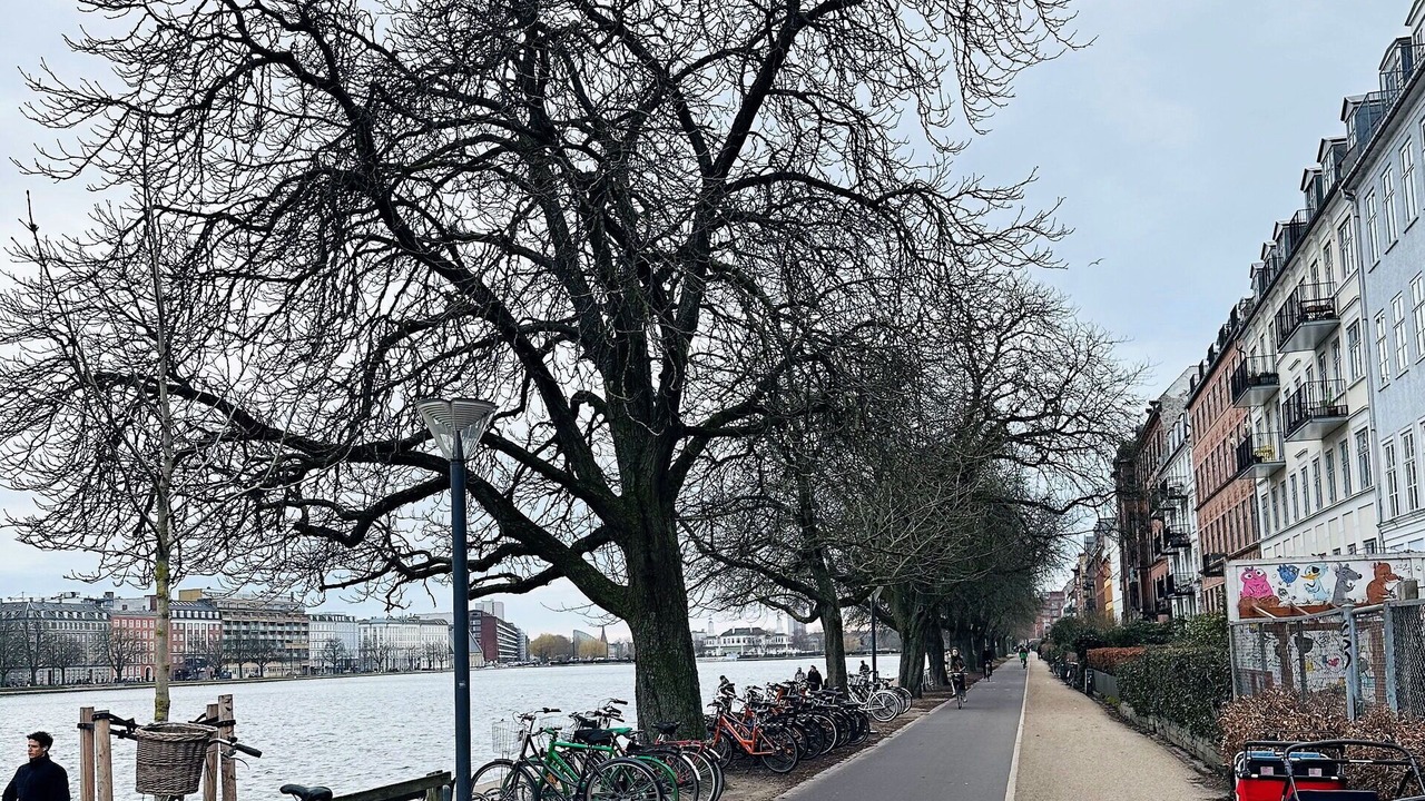 Photo of Outdoor in Norrebro