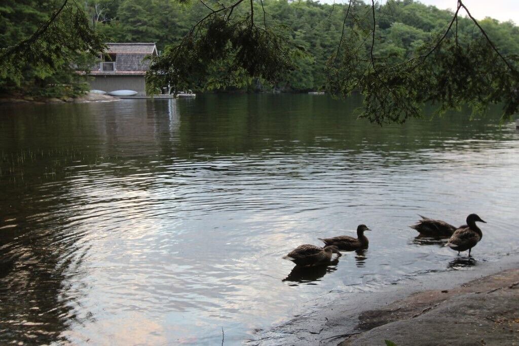 Photo of Others in Seguin