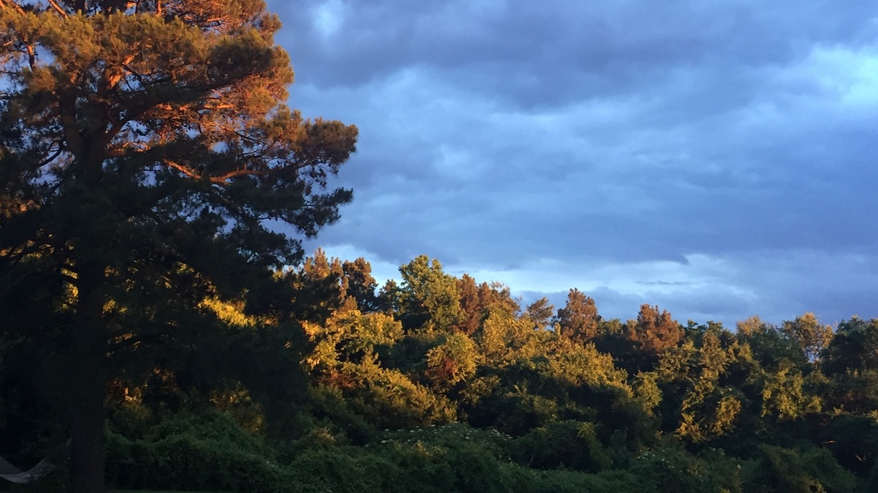 Photo of Others in Trappe