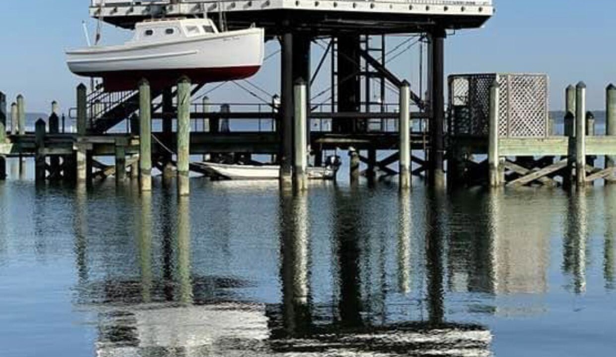 Photo of Others in Trappe