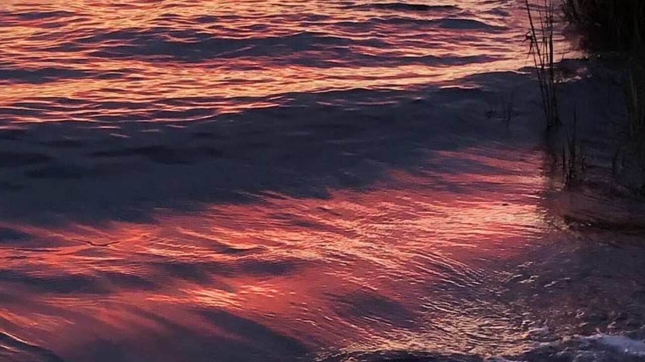 Photo of Others in Trappe