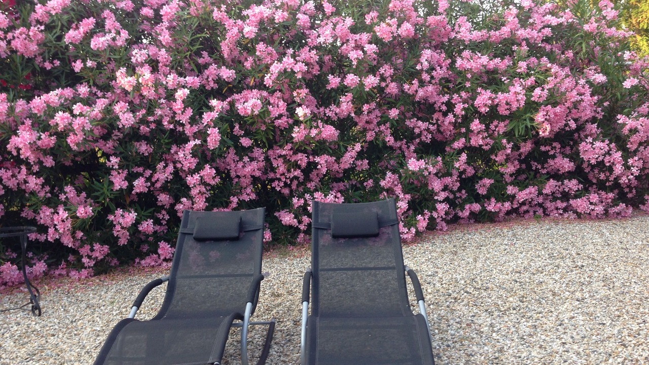 Photo of Outdoor in Marsac