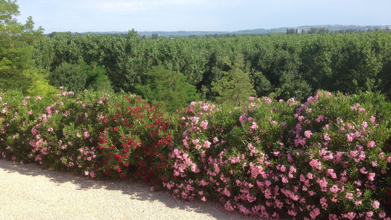 Photo of Outdoor in Marsac