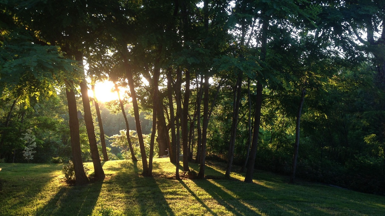 Photo of Outdoor in Marsac