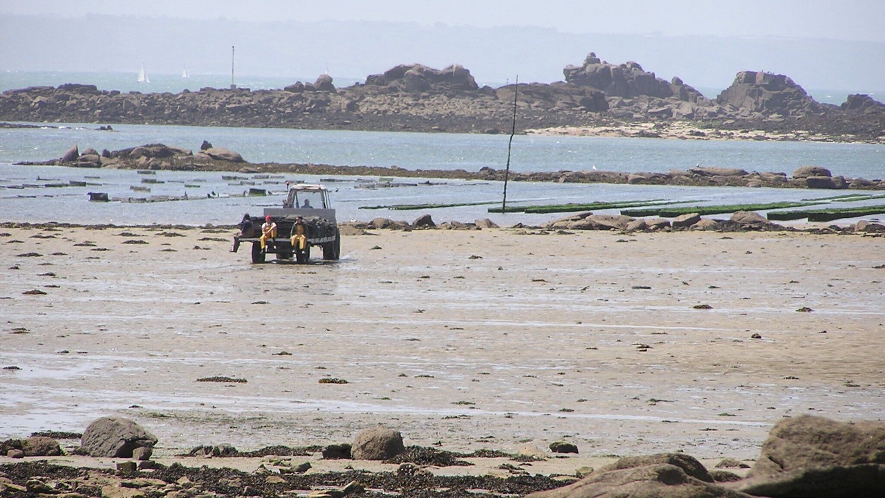 Photo of Others in Lannion