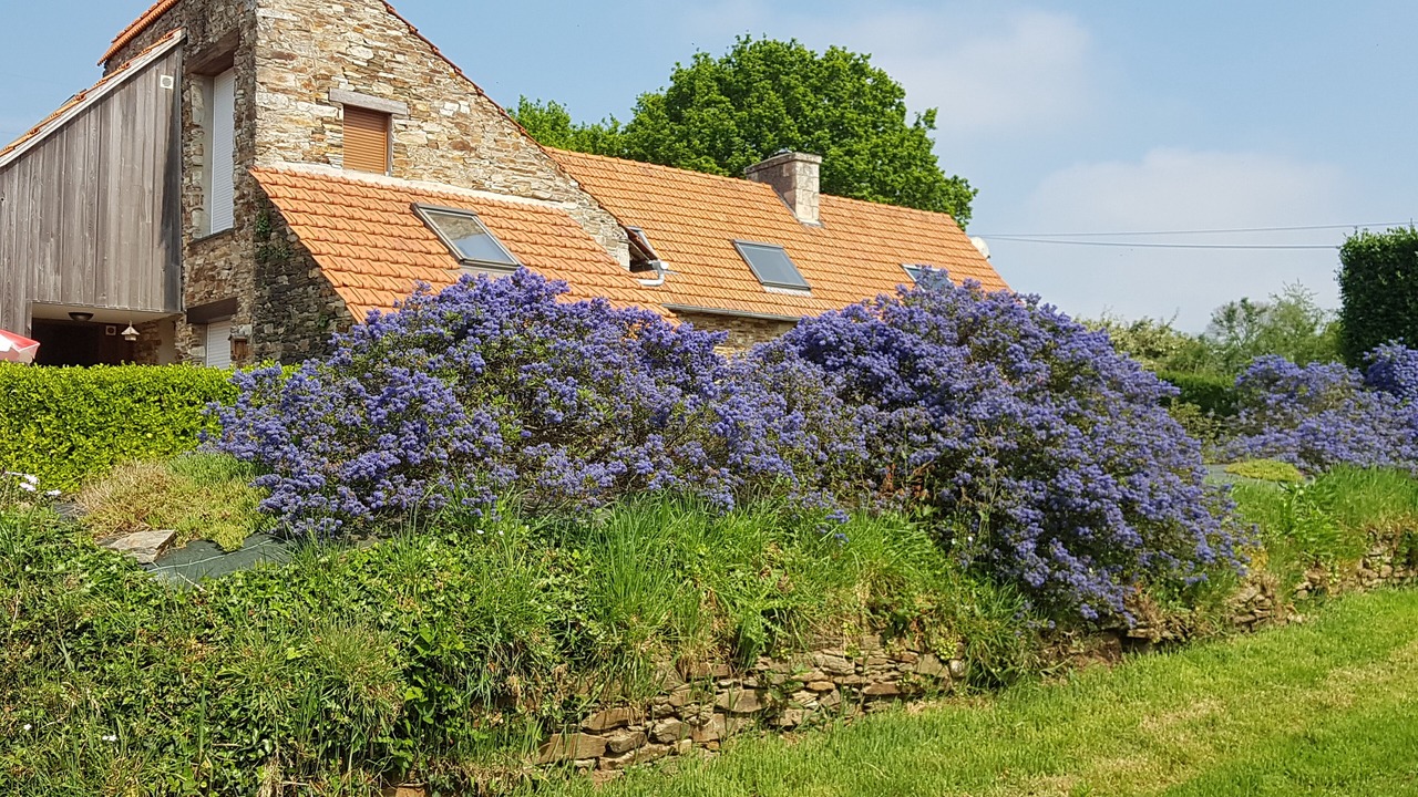 Photo of Outdoor in Lannion