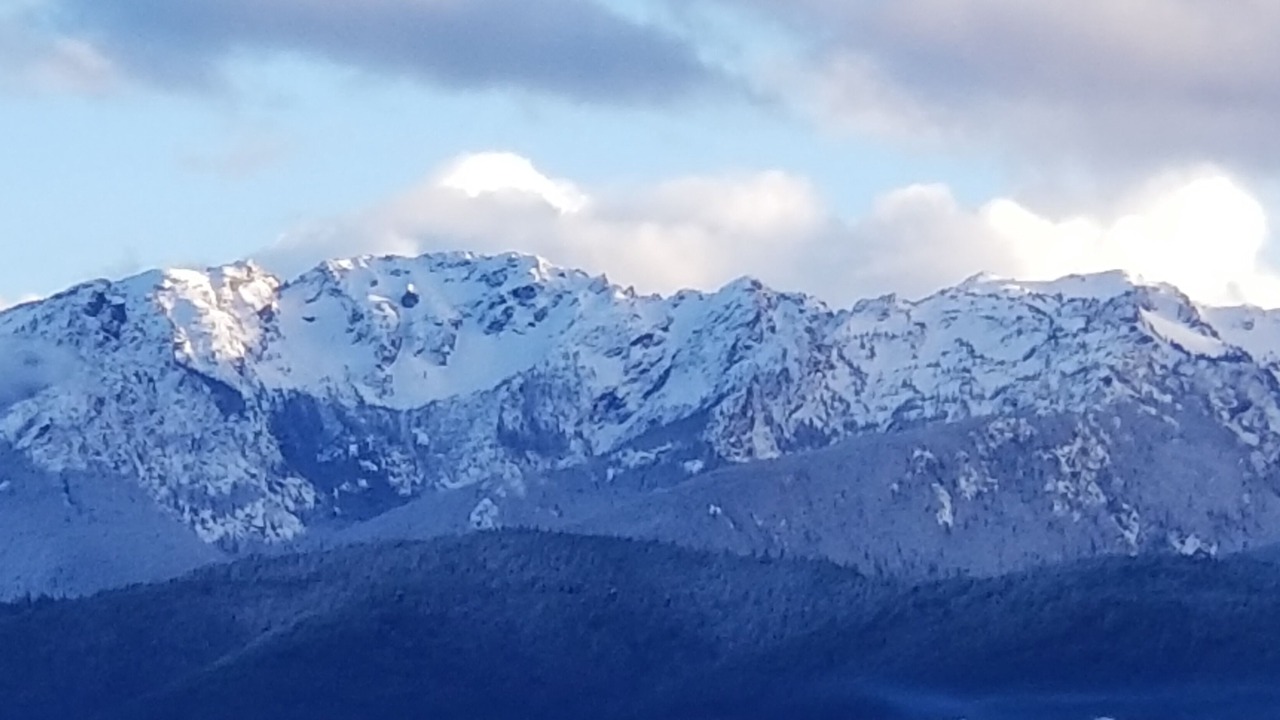 Photo of Others in Port Angeles
