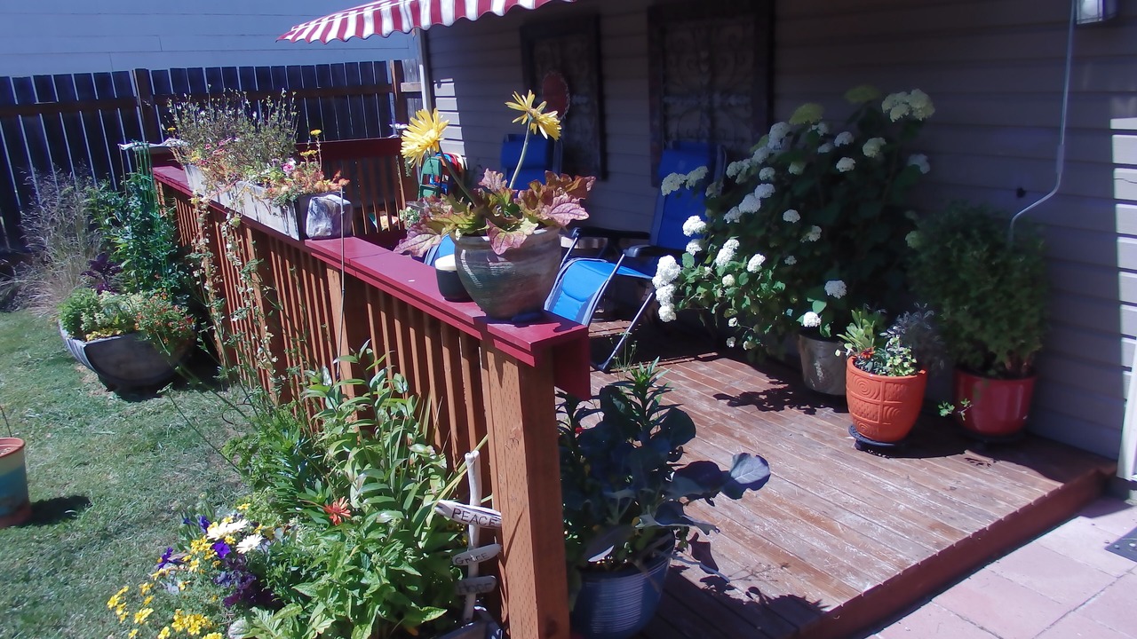 Photo of Outdoor in Port Angeles