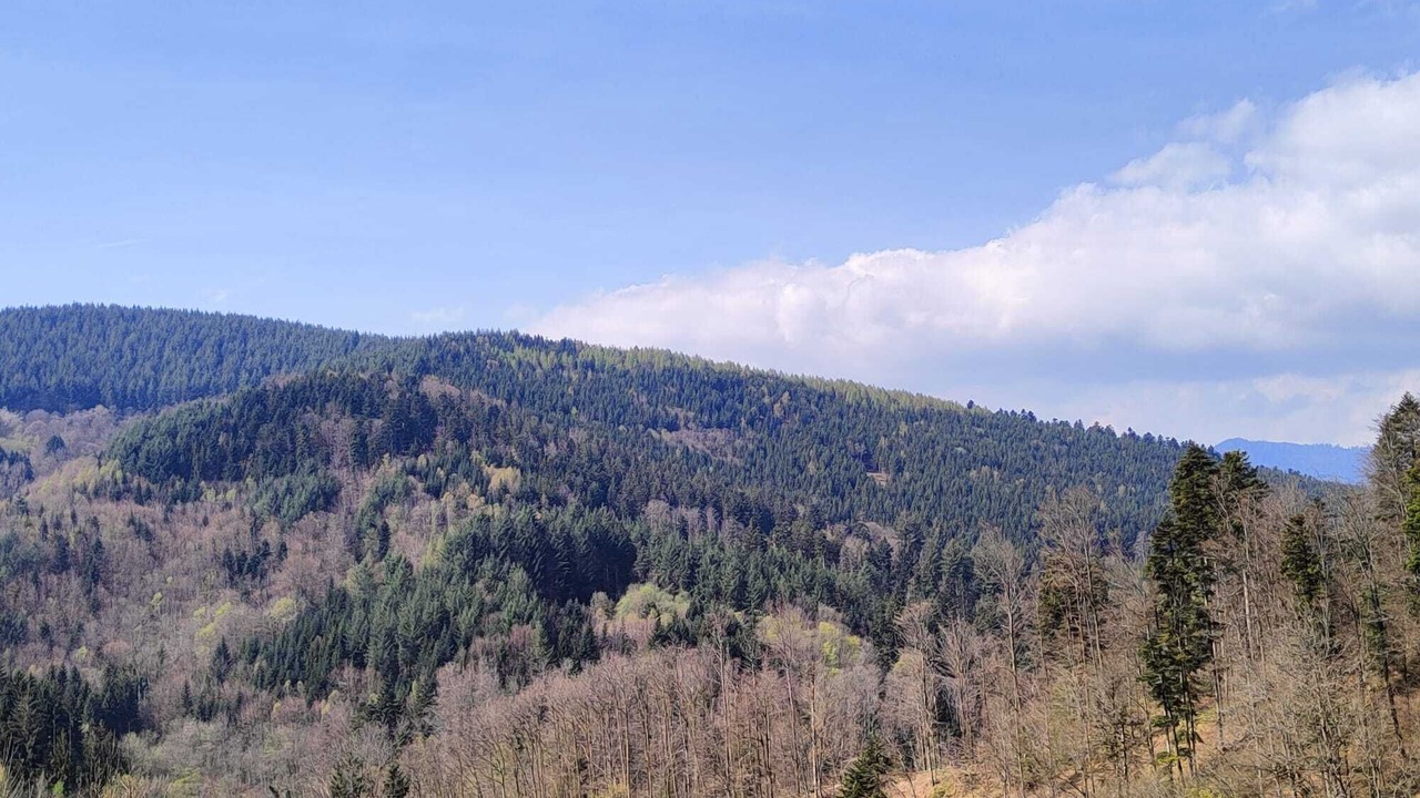 Photo of Others in Natzwiller