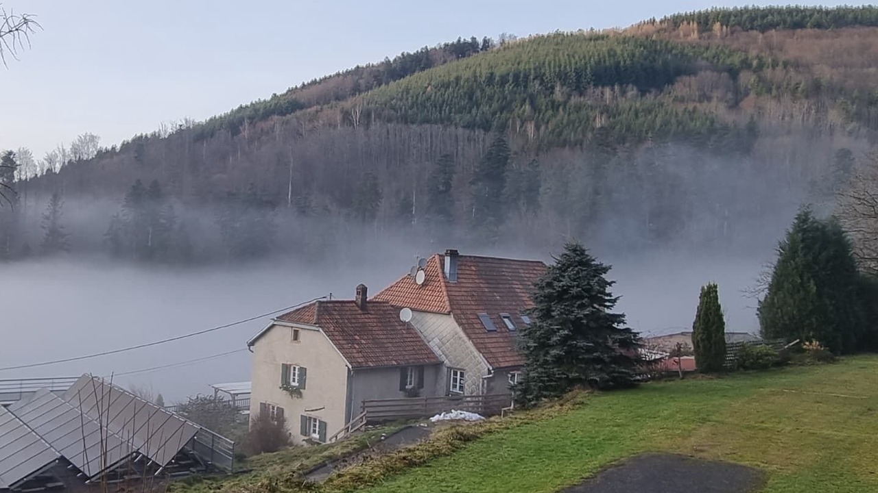 Photo of Outdoor in Natzwiller