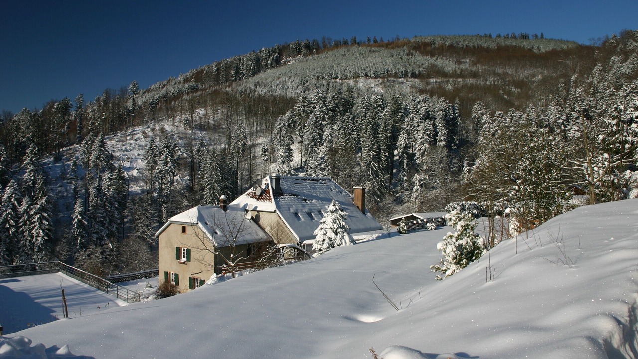 Photo of Outdoor in Natzwiller