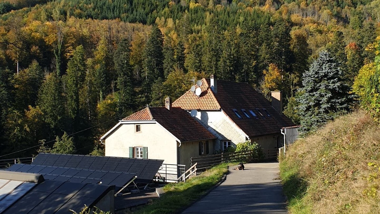 Photo of Others in Natzwiller