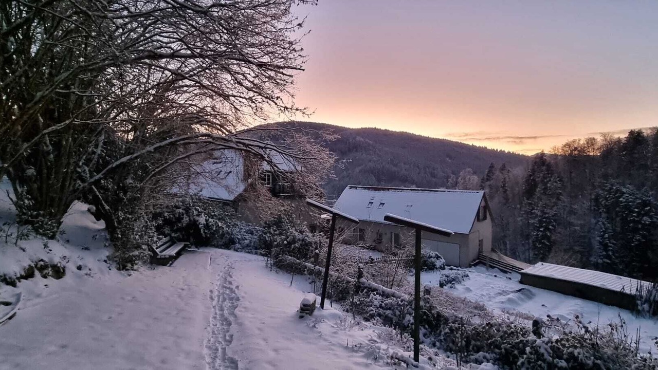 Photo of Outdoor in Natzwiller