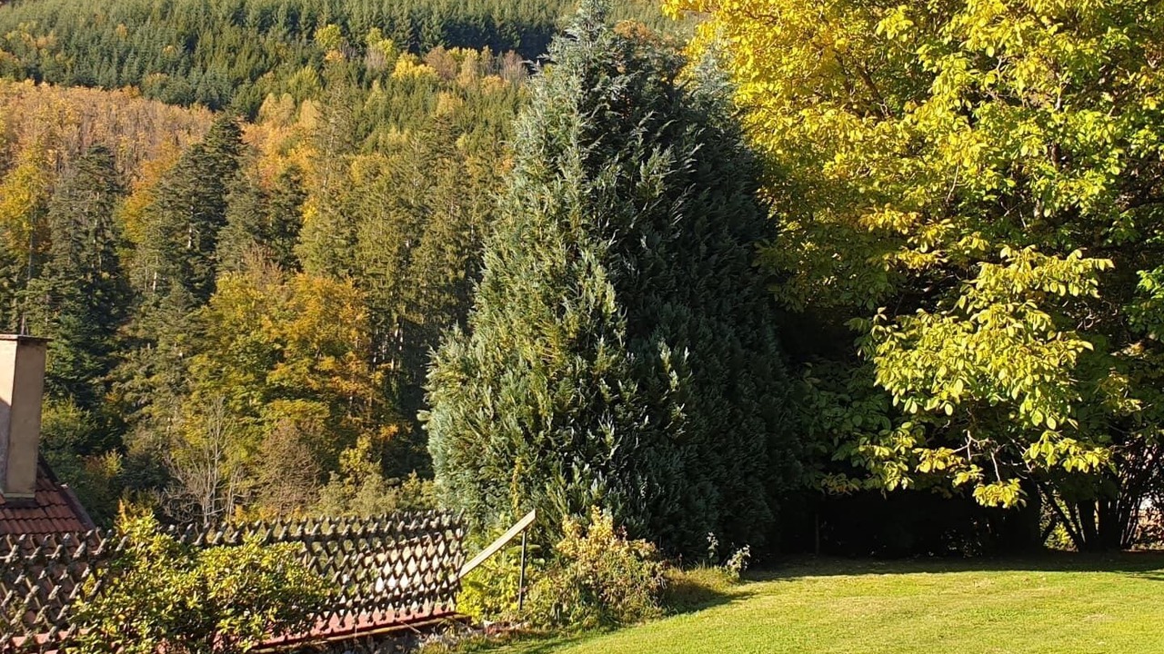 Photo of Outdoor in Natzwiller