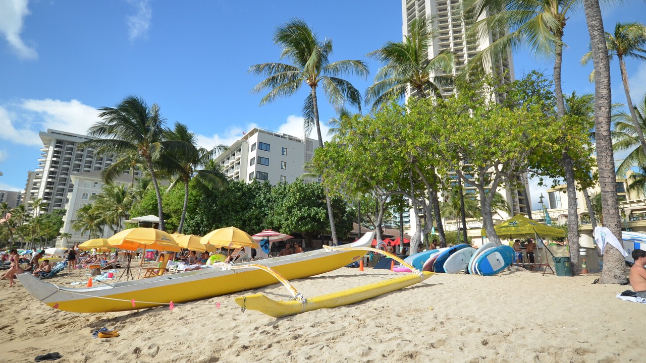 Photo of Others in Waikiki