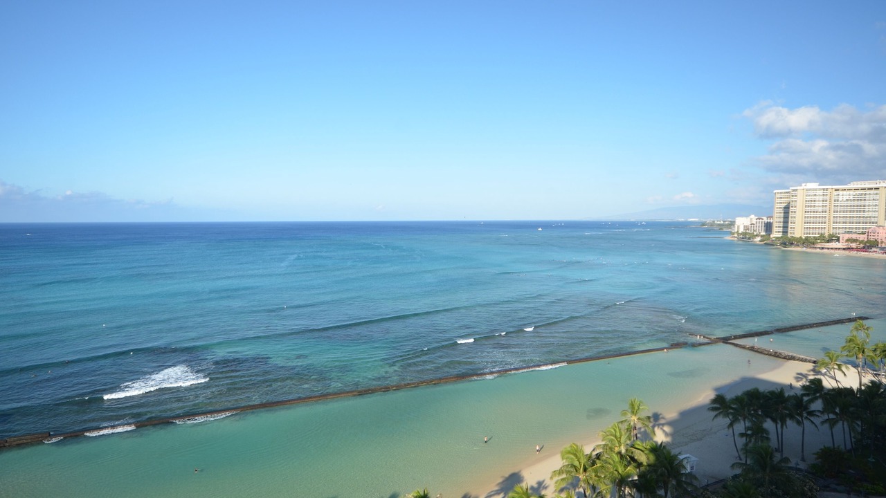 Photo of Others in Waikiki