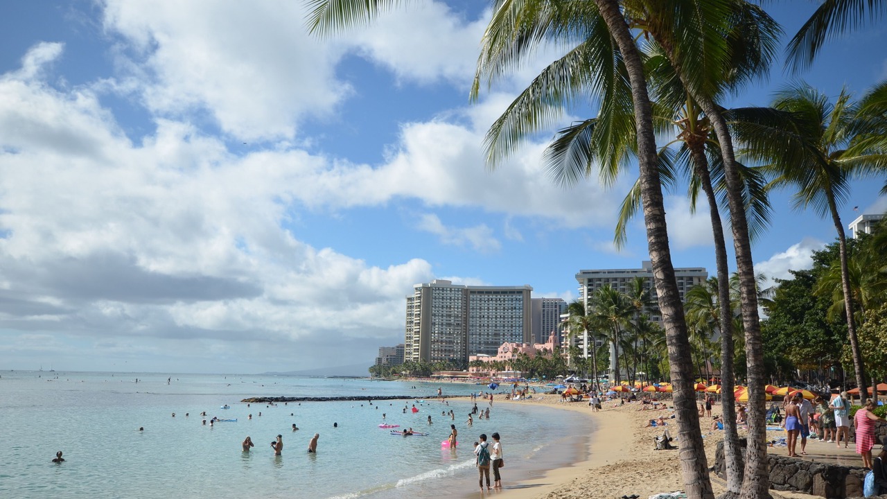 Photo of Others in Waikiki