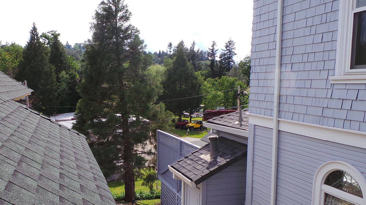 Photo of Outdoor in Placerville