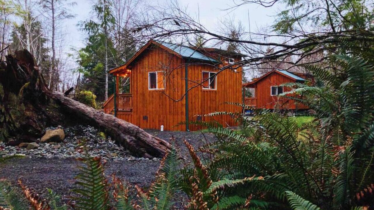 Photo of Outdoor in Forks