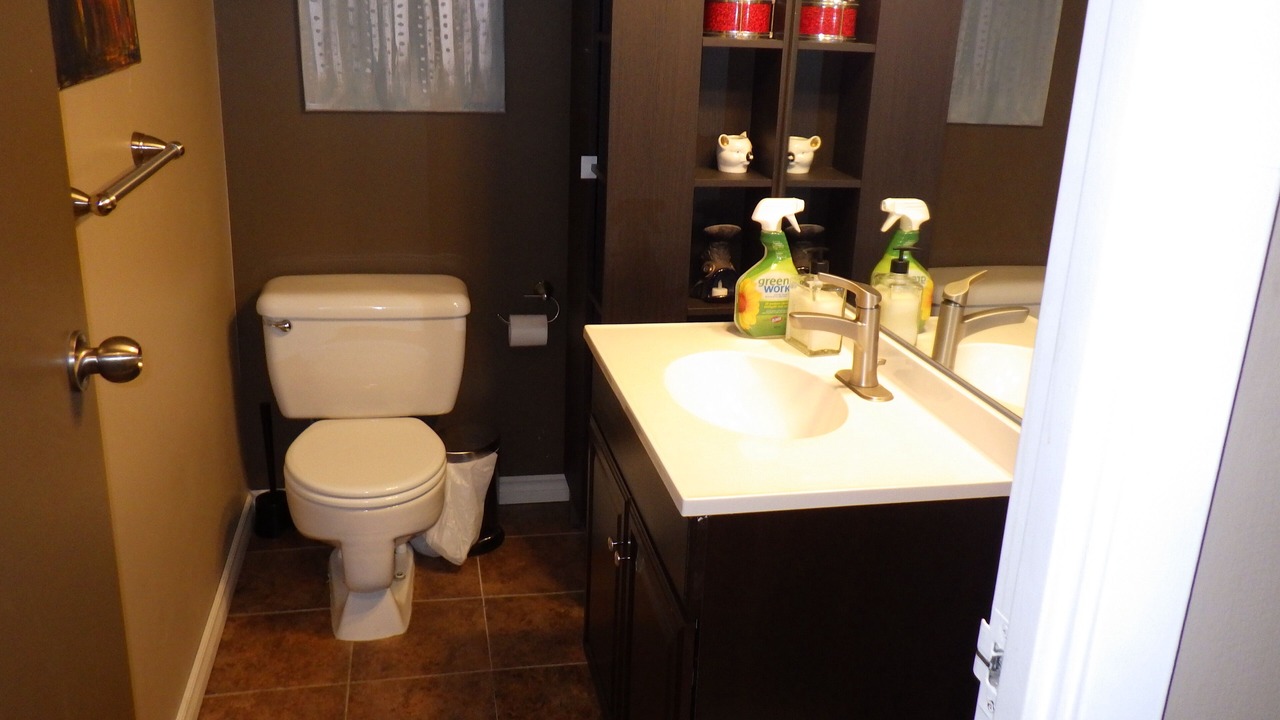 Photo of Bathroom in Dalhousie