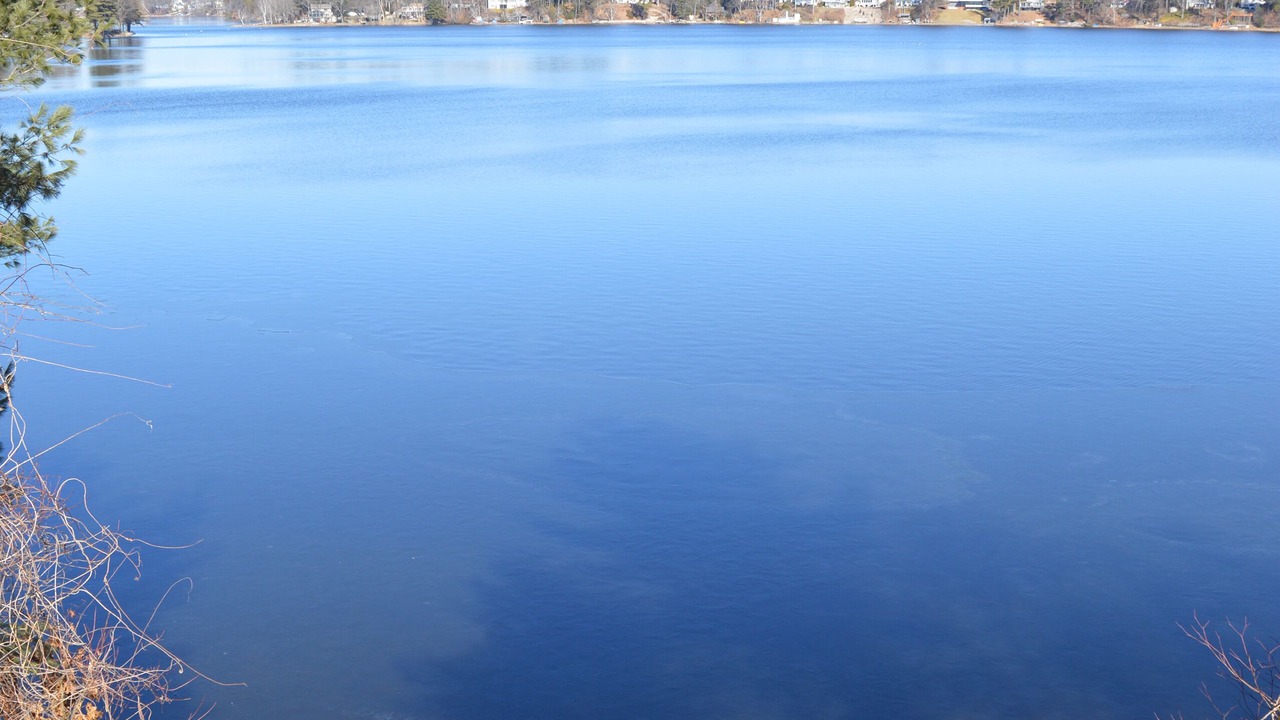 Photo of Others in Southwick