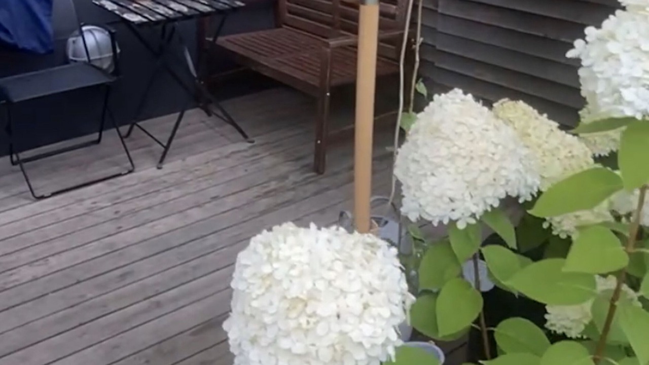Photo of Patio Balcony in Copenhagen K