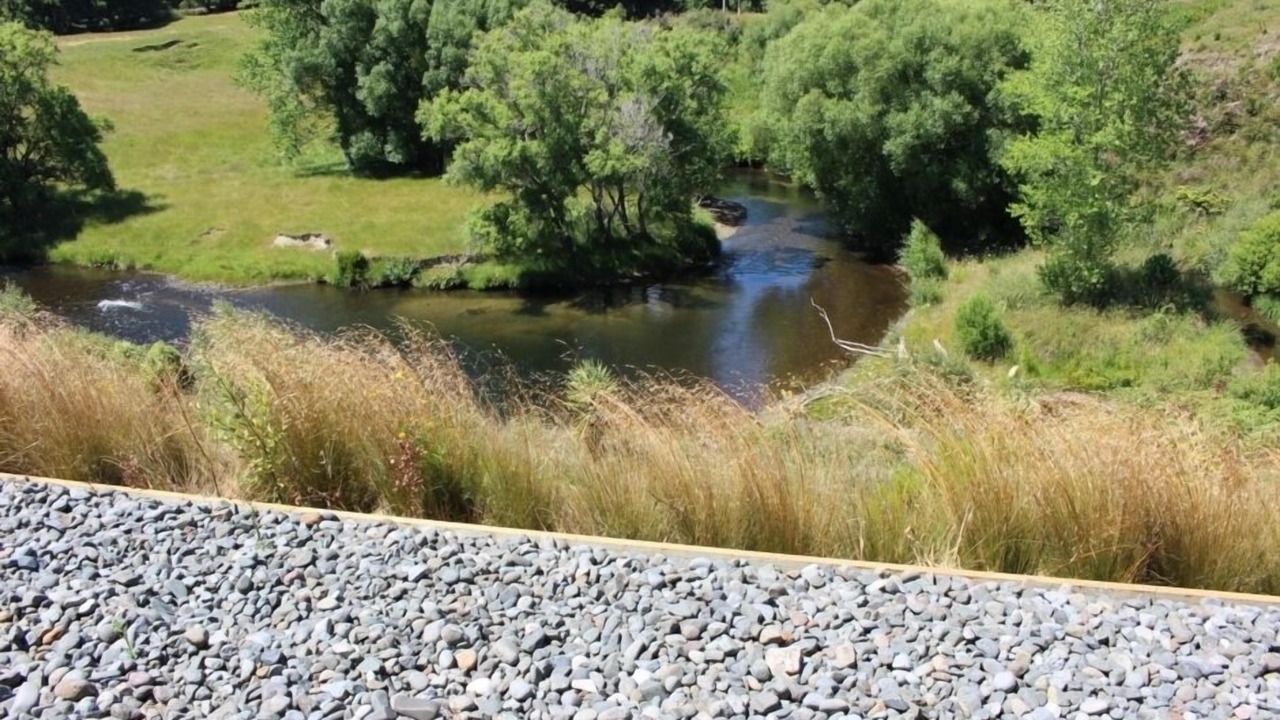 Photo of Others in Waimiha