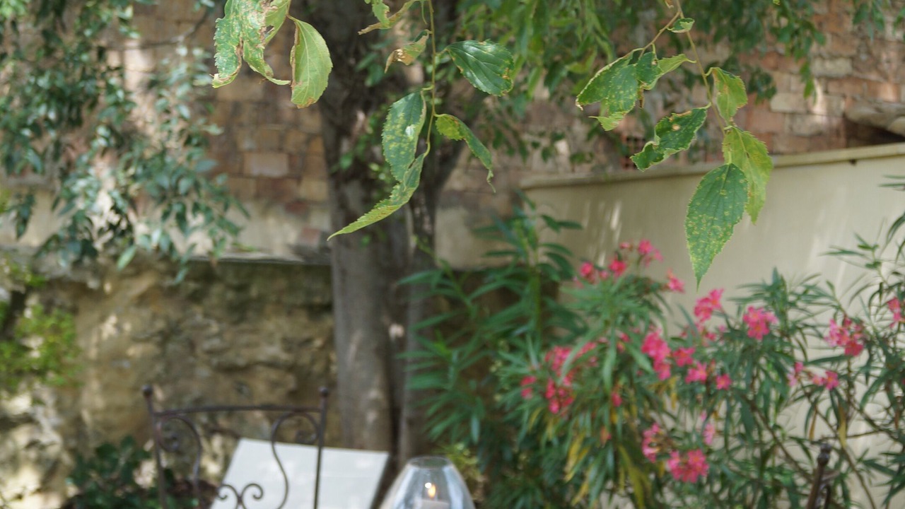 Photo of Outdoor in Uzes