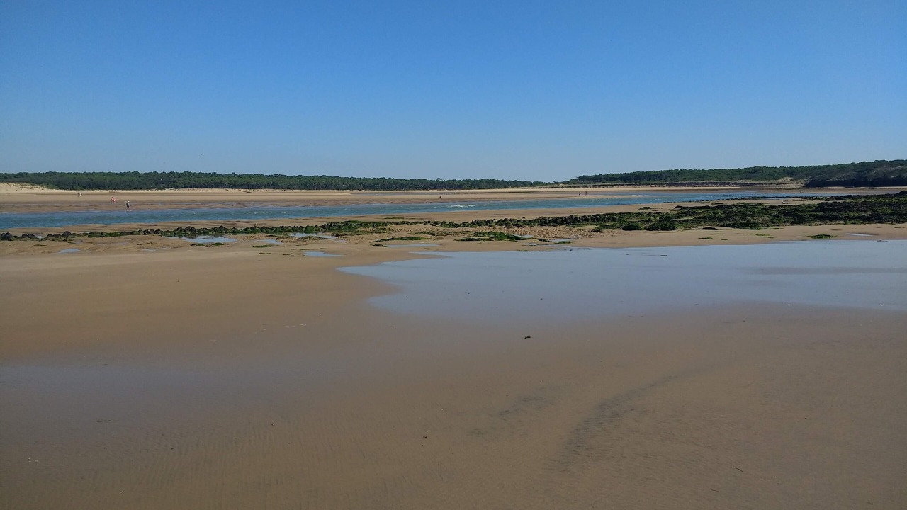 Photo of Others in Jard-sur-Mer
