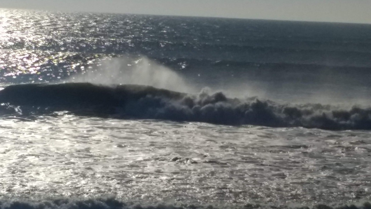 Photo of Others in Jard-sur-Mer