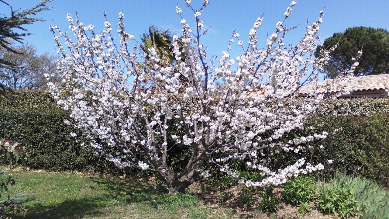 Photo of Outdoor in Castelnou