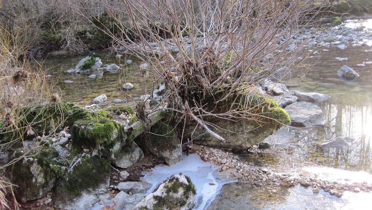 Photo of Outdoor in Foncine-le-Bas