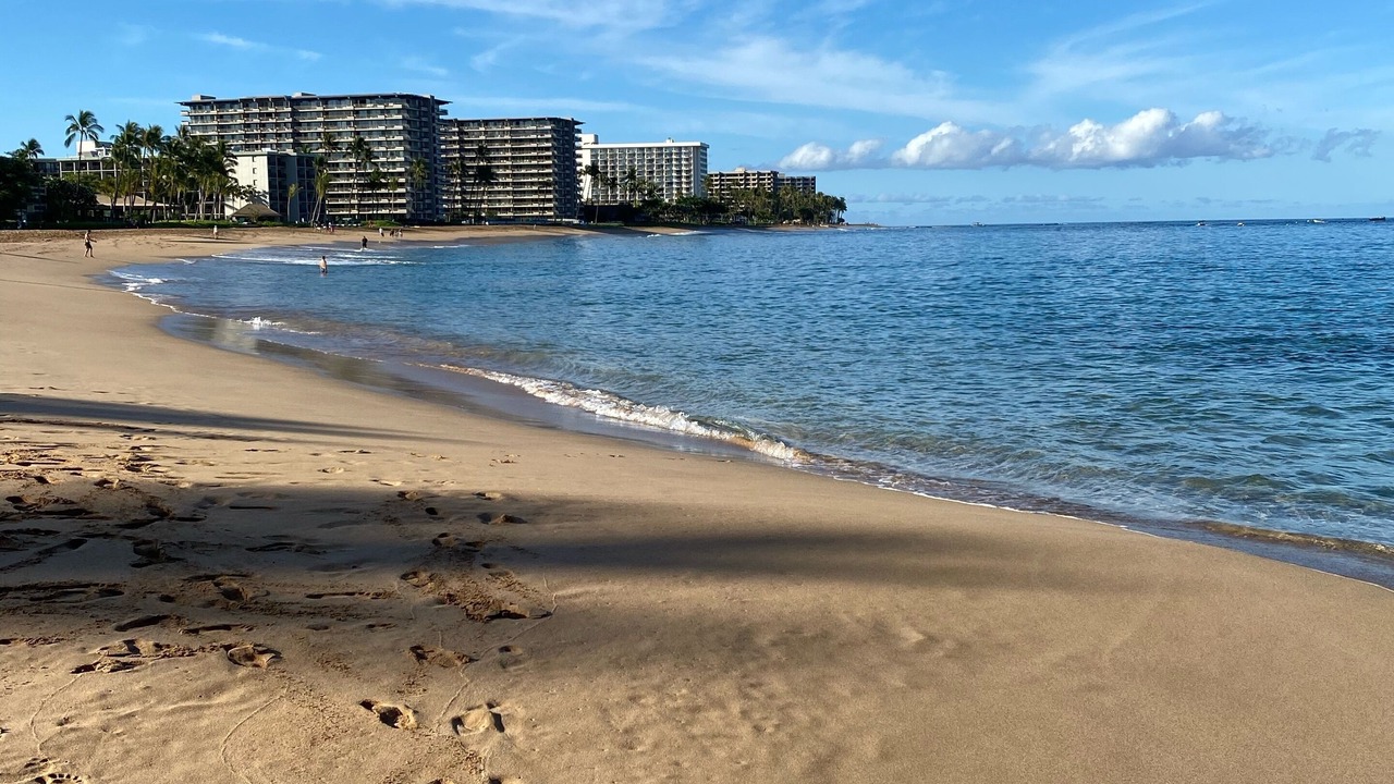 Photo of Others in Kaanapali