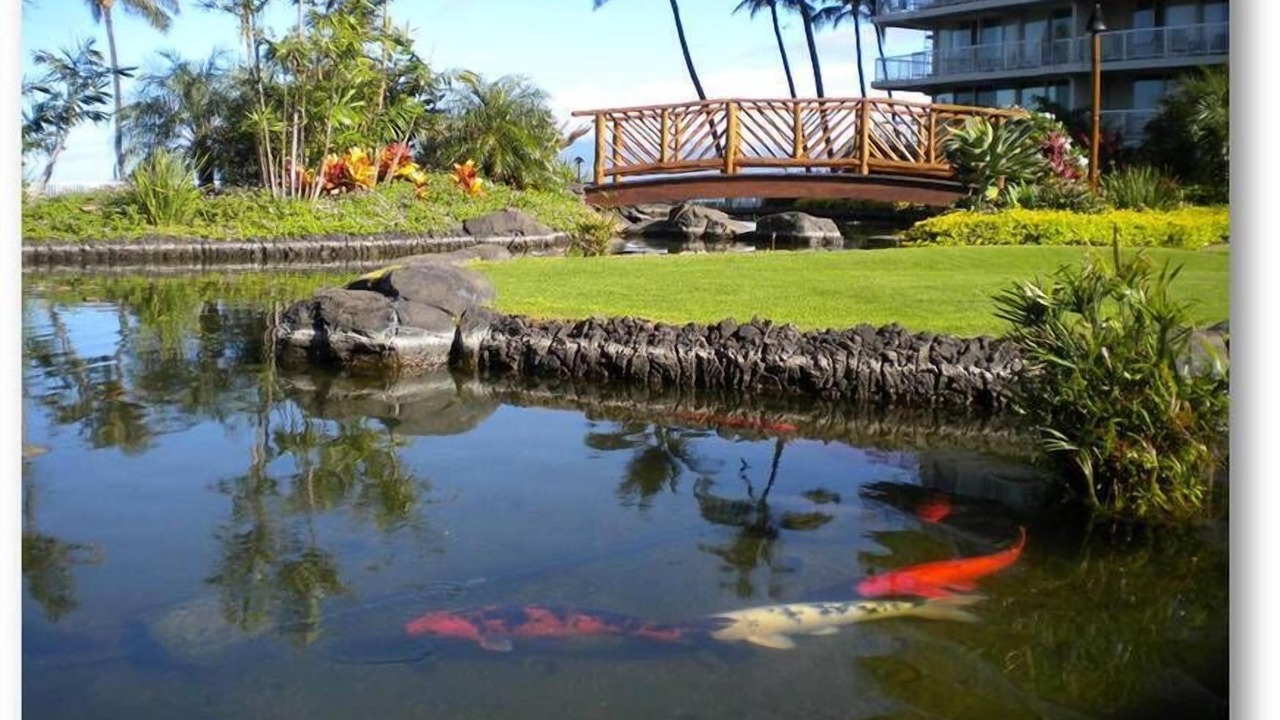 Photo of Outdoor in Kaanapali