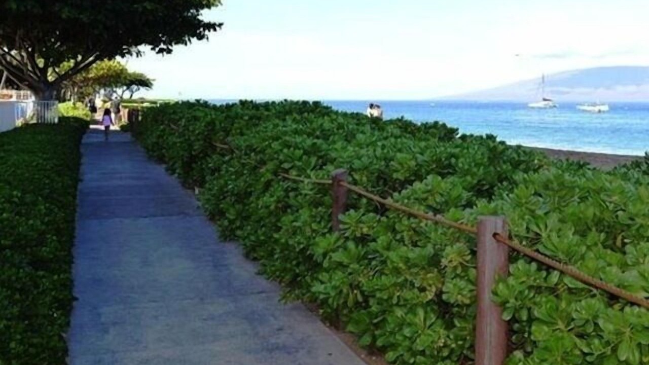 Photo of Others in Kaanapali