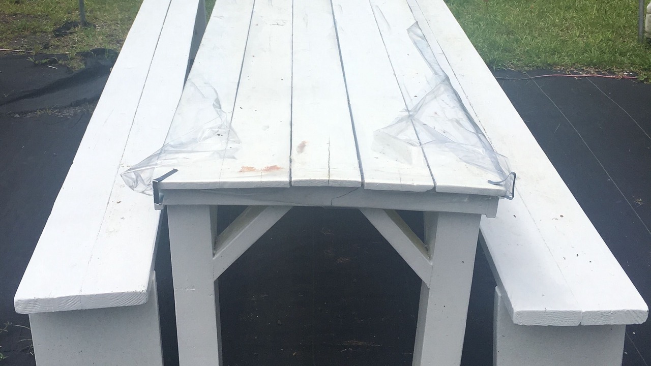 Photo of Outdoor in Nanawale Estates