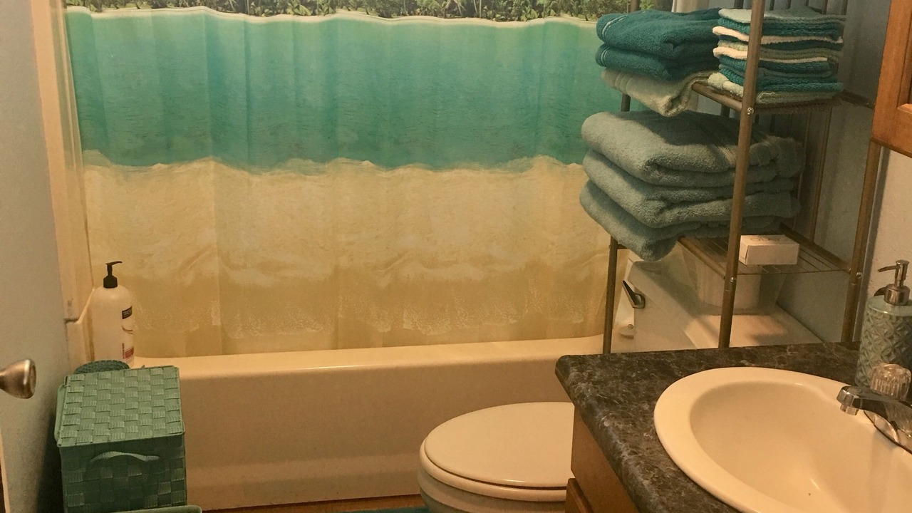 Photo of Bathroom in Nanawale Estates